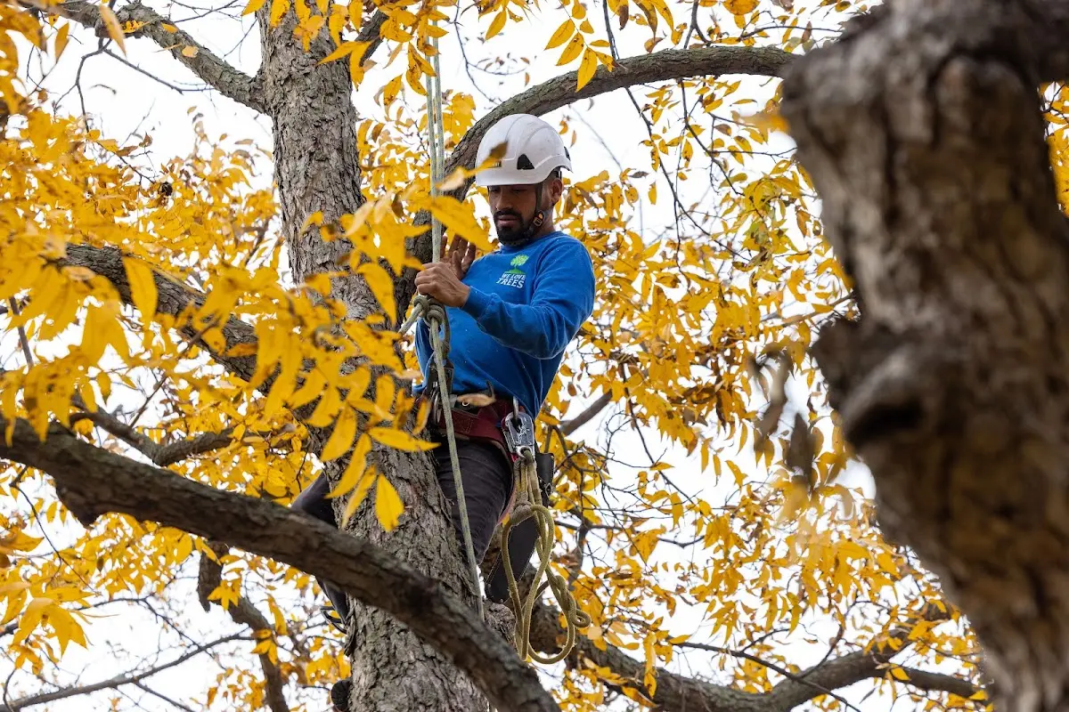 Skilled Storm Damage Cleanup crew working in Capron
